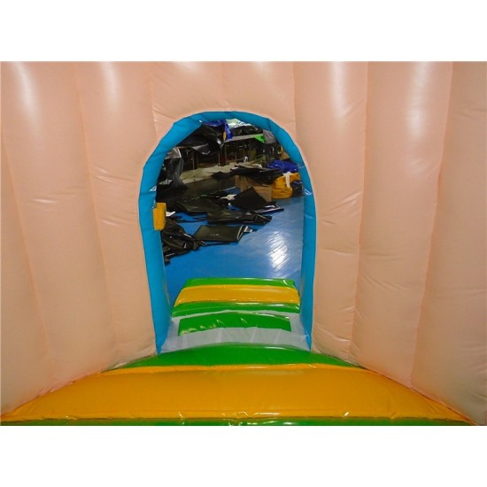Inflatable Mushroom Combo