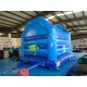 Bouncy Castle Dolphin