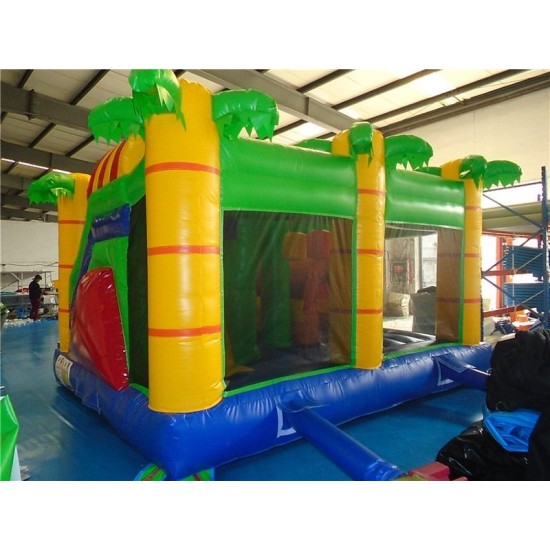 Bouncy Castle Multiplaylion