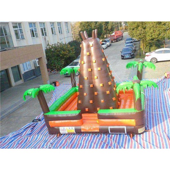 Inflatable Rock Climbing Wall