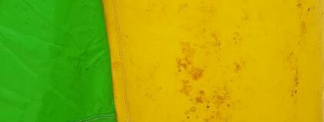 What Are the Signs of Mold Growth in a Bounce House?